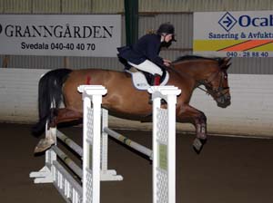 20081109_141556_0153 Petra Missler Camara