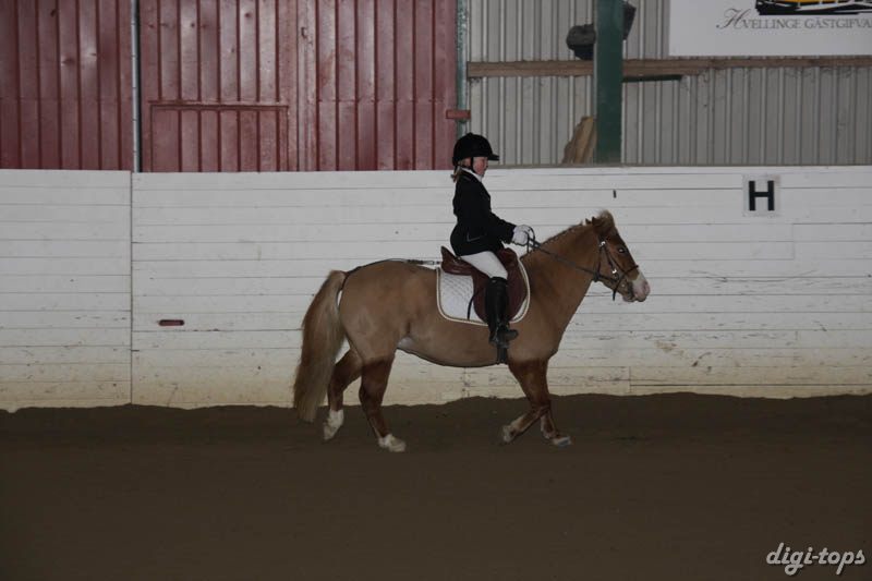 20081123_100826_0006 Emma Svensson Dottie