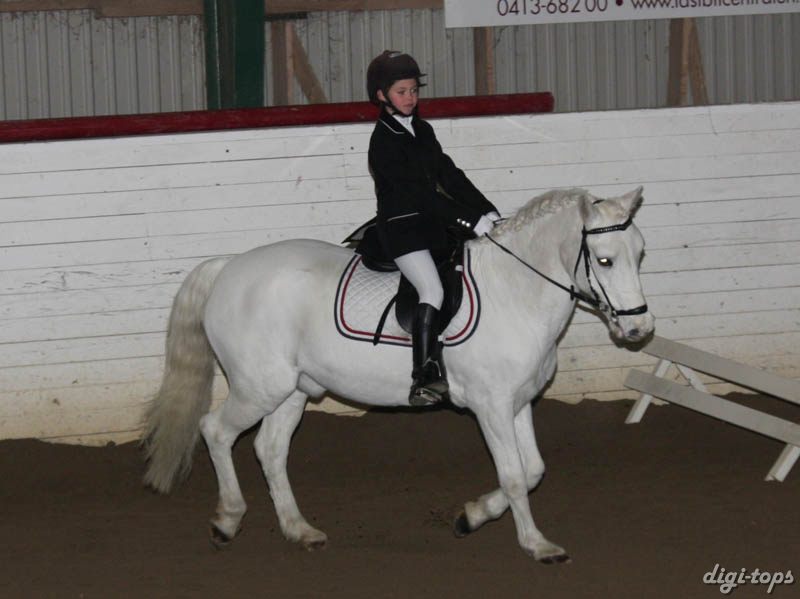 20081123_101358_0012 Linnea Friman Honey Boy