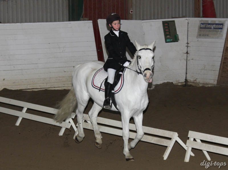 20081123_101504_0014 Linnea Friman Honey Boy