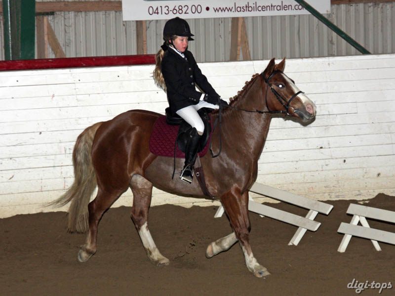 20081123_102052_0021 Maja Lundgren Madonna