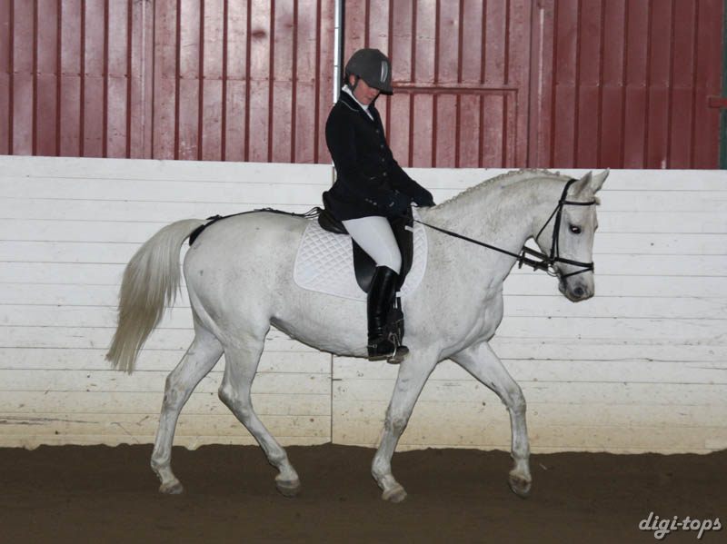 20081123_104110_0046 Erica L Siltberg Angela