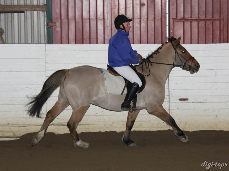 20081123_104910_0058 Jennifer Olden JH Frasse