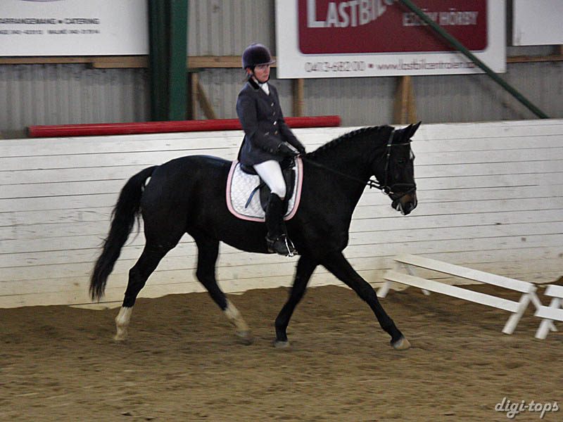 20081123_121630_0141 Anette Baroni Vienne