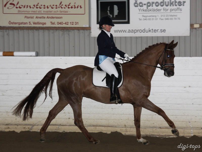 20081123_124444_0152 Ulrika Andersson Wonderboy