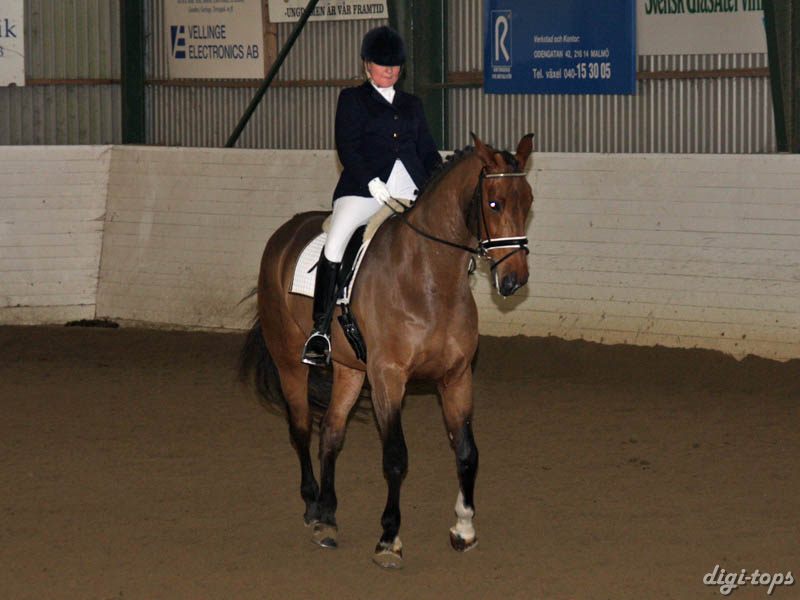 20081123_131546_0178 Ulrika Andersson Ruskin