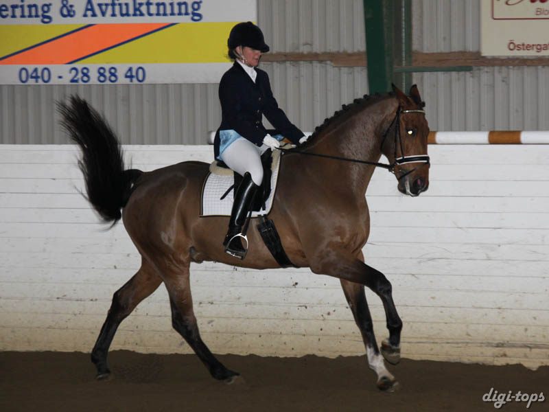 20081123_131832_0182 Ulrika Andersson Ruskin