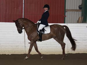 20081123_124328_0149 Ulrika Andersson Wonderboy