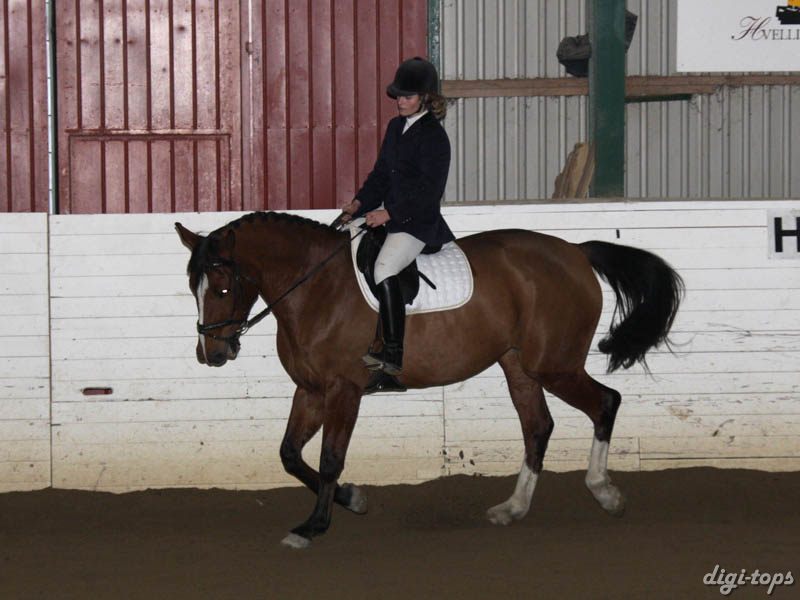 20081123_110542_0075 Petra Missler Camara