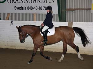 20081123_110726_0077 Petra Missler Camara