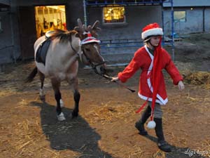 20081214_155020_0031