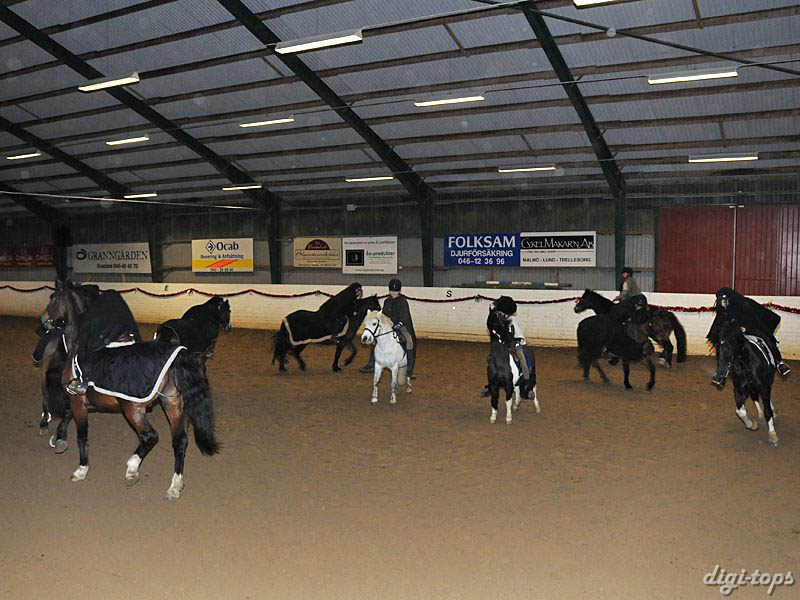 20081214_161750_0054