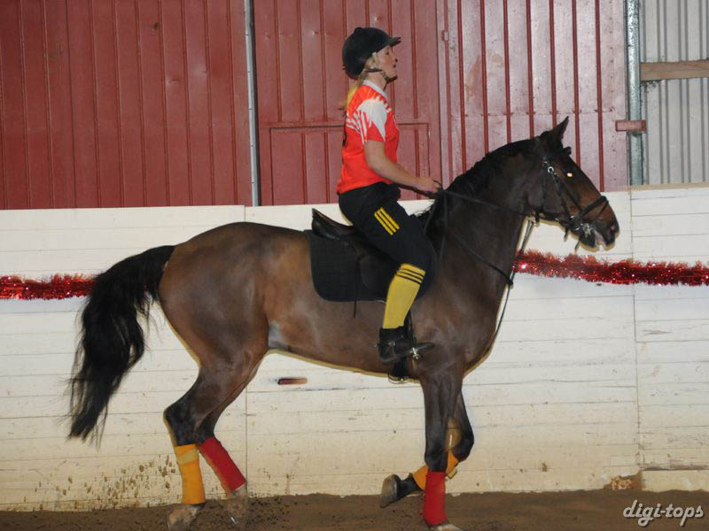 20081214_162932_0087