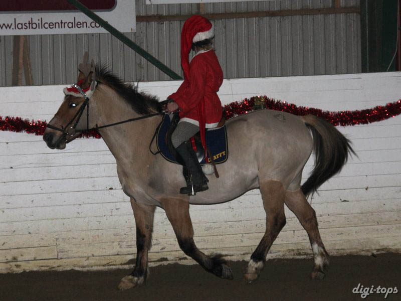 20081214_163152_0025