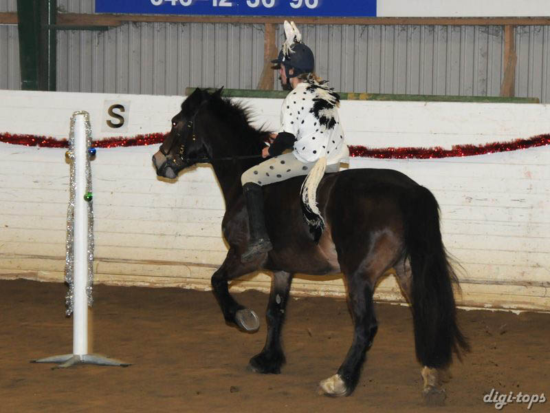 20081214_165144_0129