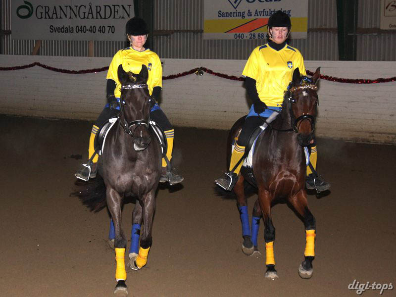 20081214_170212_0090