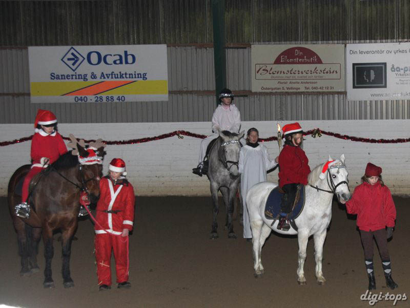 20081214_175454_0135