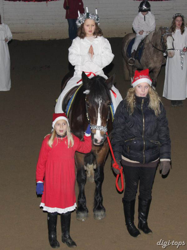 20081214_175826_0139