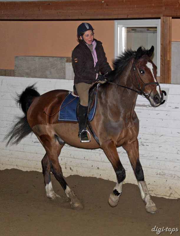 20090113_192348_0060