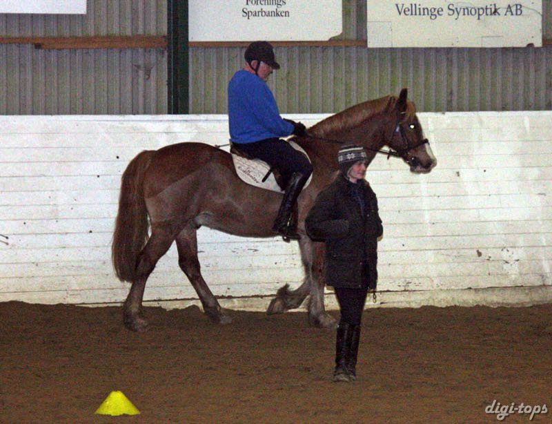 20090113_194556_0064