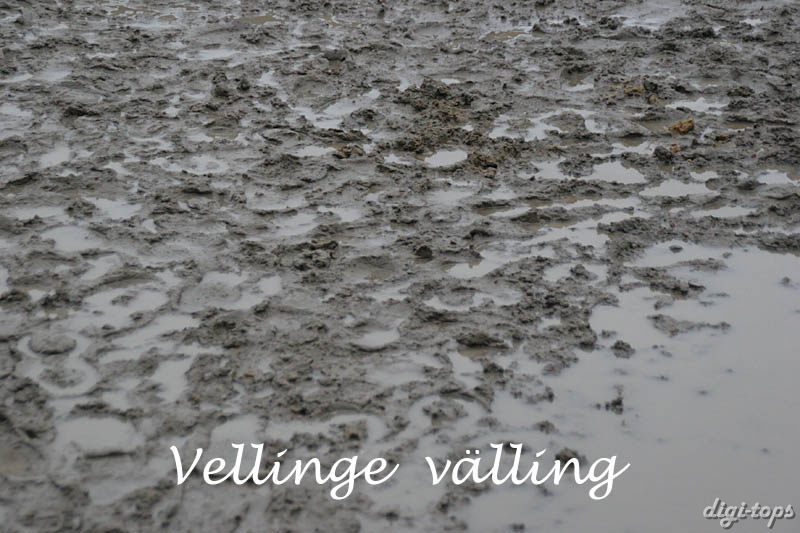 20090308_152020_0056