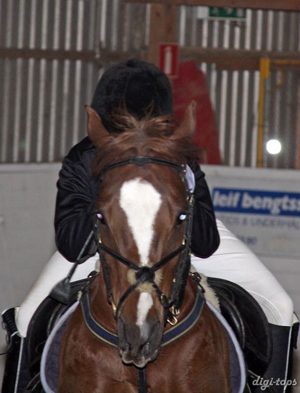 20090308_133050_0118 ellinor persson rocky boy