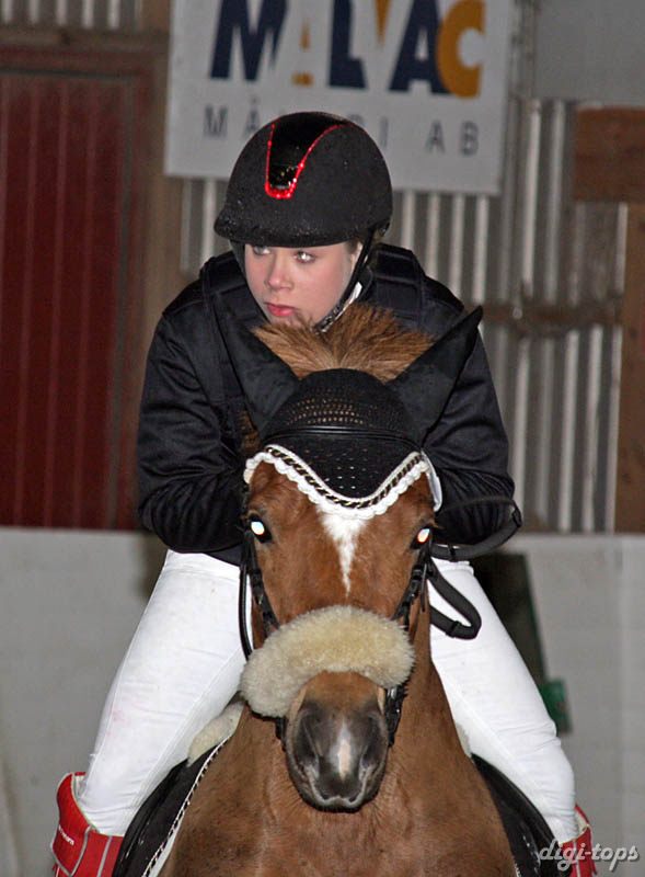 20090308_140928_0201 nicole bieder rips sir ivanhoe