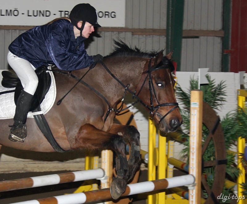 20090308_141238_0207 melinda lindhnilsson baltazar