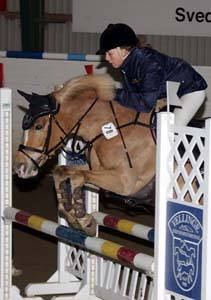 20090308_125308_0051 josefin wall happy girl II