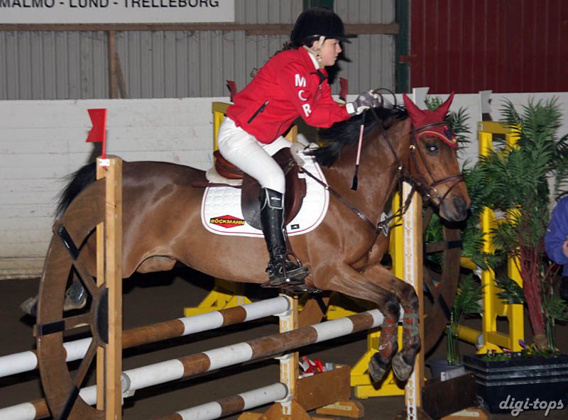 20090308_124410_0040 amanda brandin betty boop