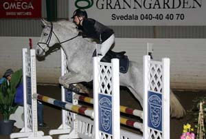 20090308_133330_0123 caroline thuresson silver thread