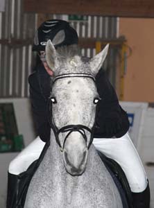 20090308_133414_0126 caroline thuresson silver thread