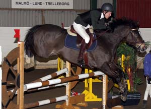 20090308_135024_0159 jesper thuresson montage rapsody