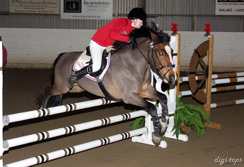 20090308_145054_0255 amanda emanuelsson hembys one moore