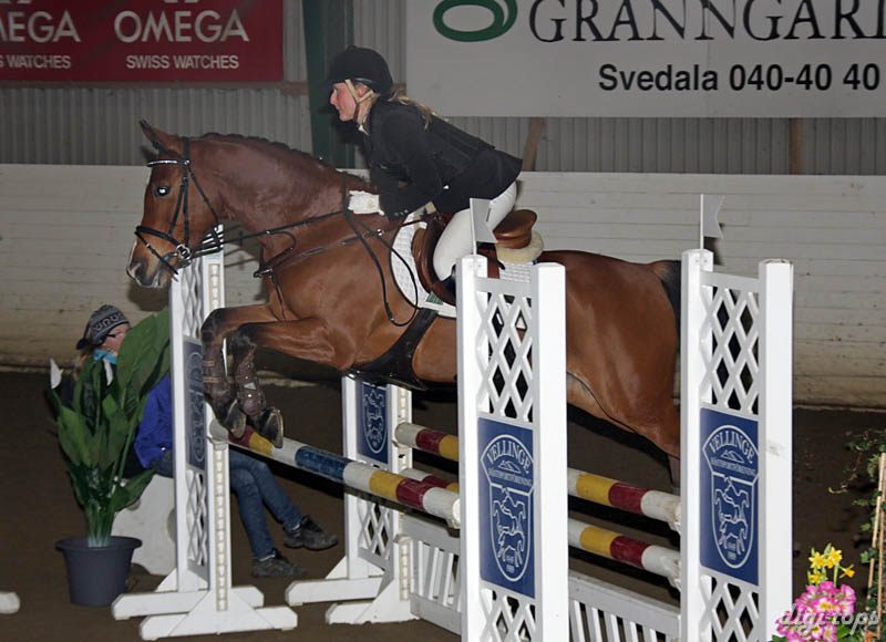 20090308_135652_0174 laura werup dumbledore