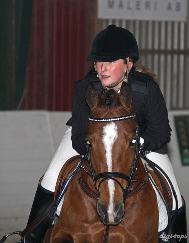 20090308_135734_0176 laura werup dumbledore