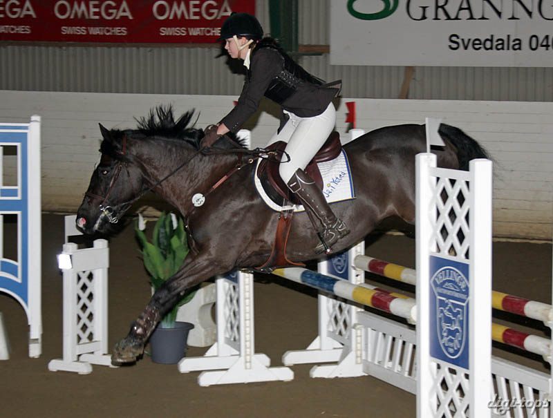 20090308_142358_0226 joanna persson kilfenoras delight