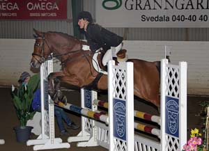 20090308_135652_0174 laura werup dumbledore