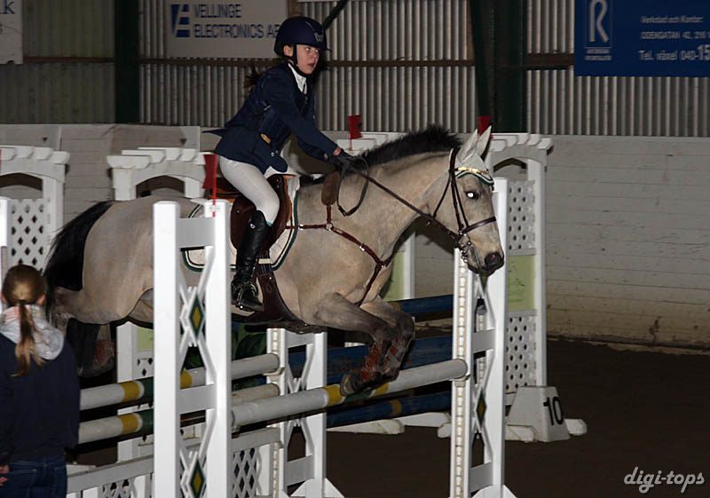 20090307_184428_0157 julie fredholm rinroe rock it