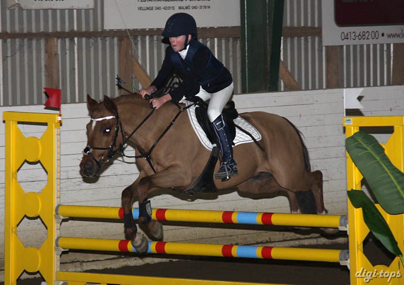 20090307_173634_0069 ebba larsson orchids vince