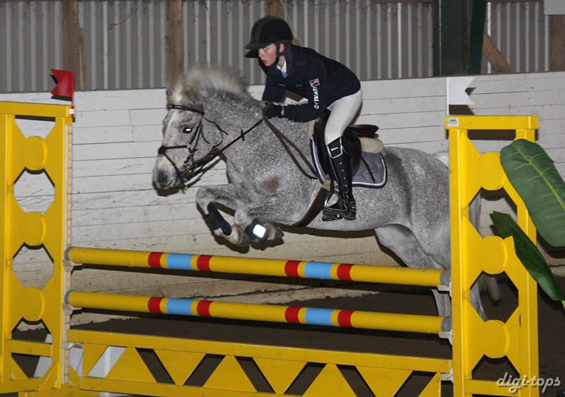 20090307_171432_0041 elsa carle grey bray