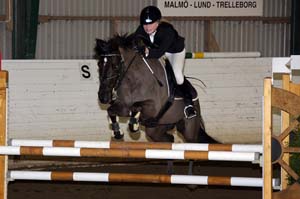 Kellner_My_Cartoon_1d_20090403_175732_0142