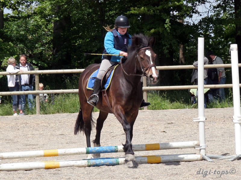 20090606_132402_0003_eriksen_isabell_brownie