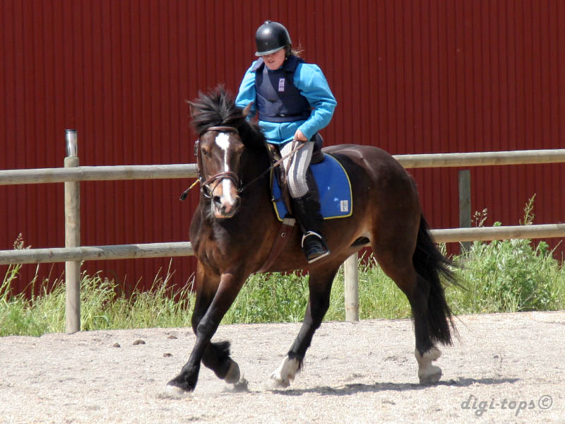 20090606_132422_0007_eriksen_isabell_brownie