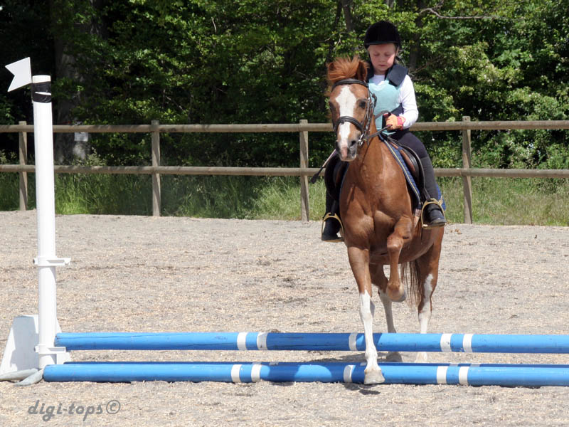 20090606_132622_0005_myrman_alice_diva