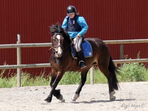 20090606_132422_0007_eriksen_isabell_brownie