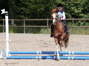 20090606_132622_0005_myrman_alice_diva