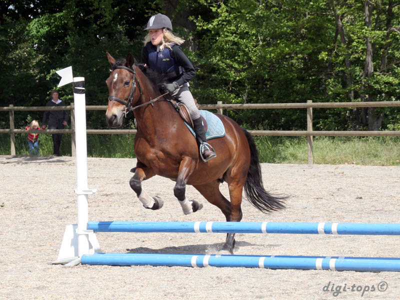 20090606_134904_0104_gullstrand_wilma_destiny