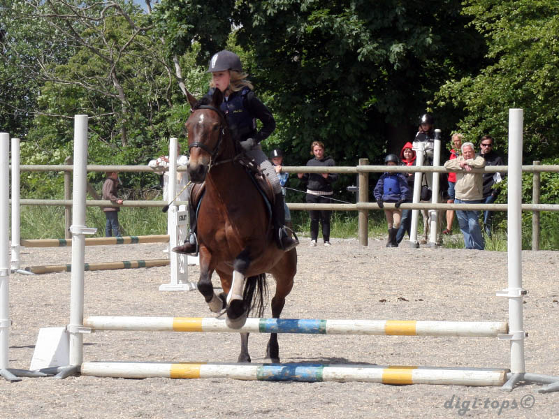 20090606_134930_0105_gullstrand_wilma_destiny