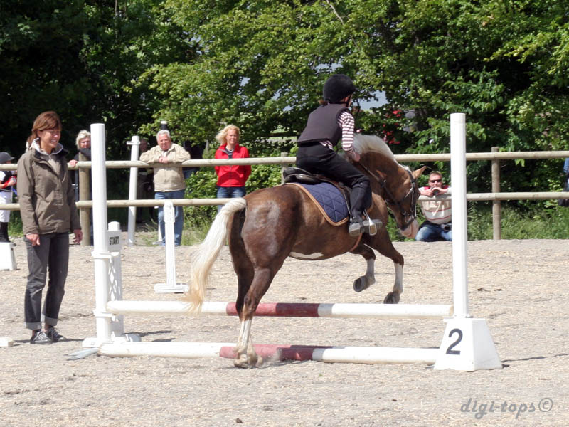 20090606_135924_0129_larsson_julia_princessan